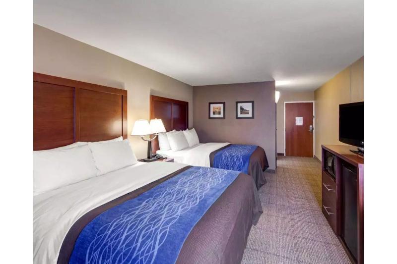 Comfort & East Plano