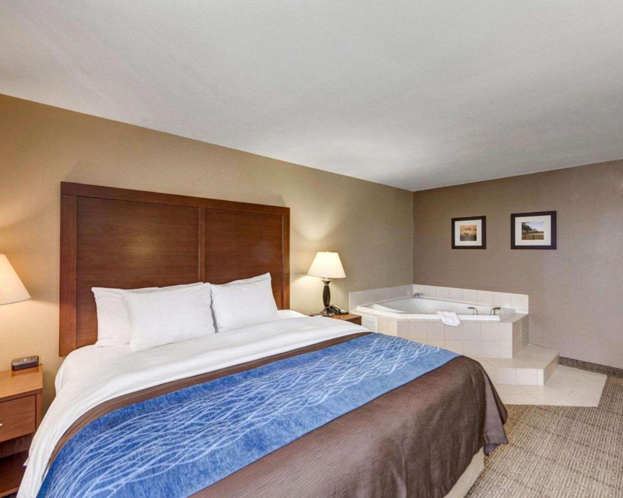 Comfort & East Hotel Plano